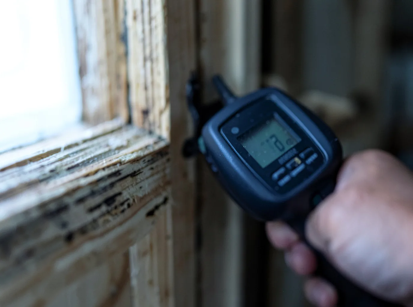 Commercial Water Damage Restoration in Rowland Heights, CA